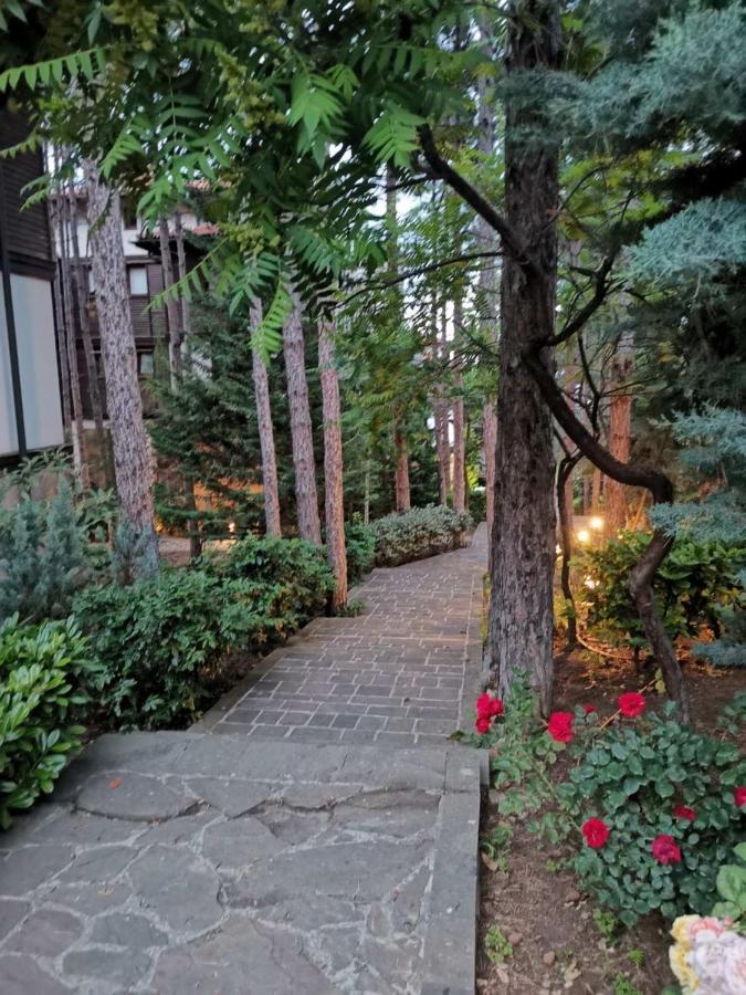 Quiet Apartment With Big Terrace In Santa Marina With Parking Sozopol Eksteriør bilde