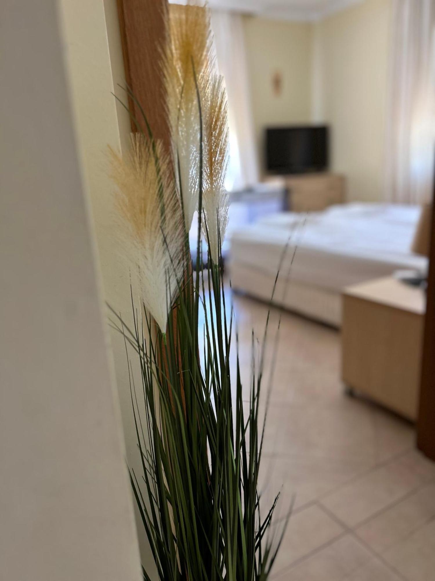 Quiet Apartment With Big Terrace In Santa Marina With Parking Sozopol Eksteriør bilde